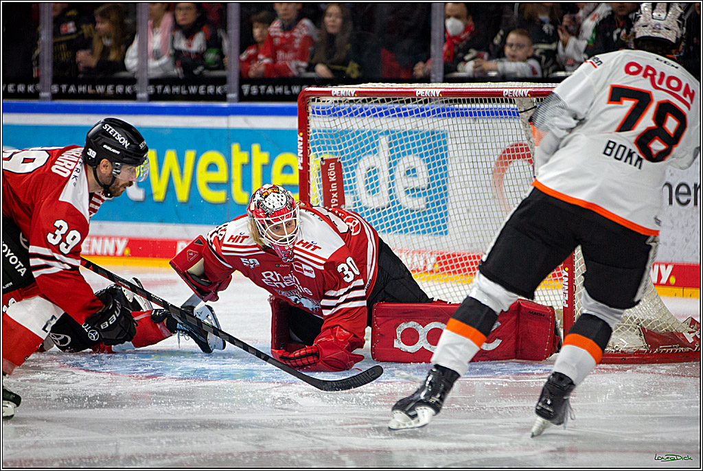 PENNY DEL; Koelner Haie- Loewen Frankfurt; Koeln, 01.12.2022
